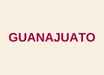 Módulos de atención bienestar guanajuato