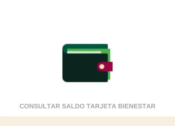 Consultar Saldo Tarjeta Bienestar