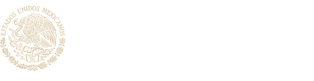 Tarjeta Bienestar - Guía Informativa